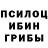 Галлюциногенные грибы Psilocybine cubensis Sofa Chernousova